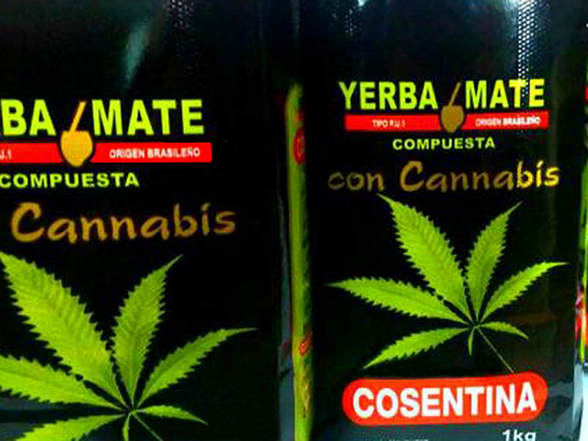 Yerba Mate Cannabis